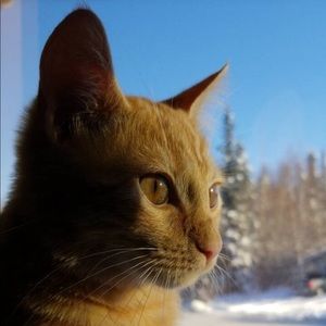 Meet your Posher, Luna